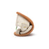 Sandalias Parky Toddler Tip Toey Joey, Tapioca, imagen 3