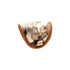 Sandalias Starfish Toddler Tip Toey Joey, Metalic Salmon / Rosa Seco / Golden Sugar, imagen 3